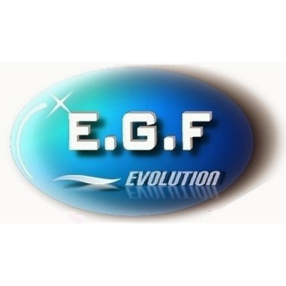 Logo de EGF Frugier Jerome